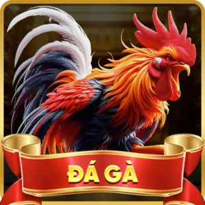 Cá cược thể thao tại 36win